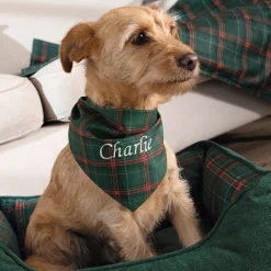 Chic écossais Bandana pour animaux