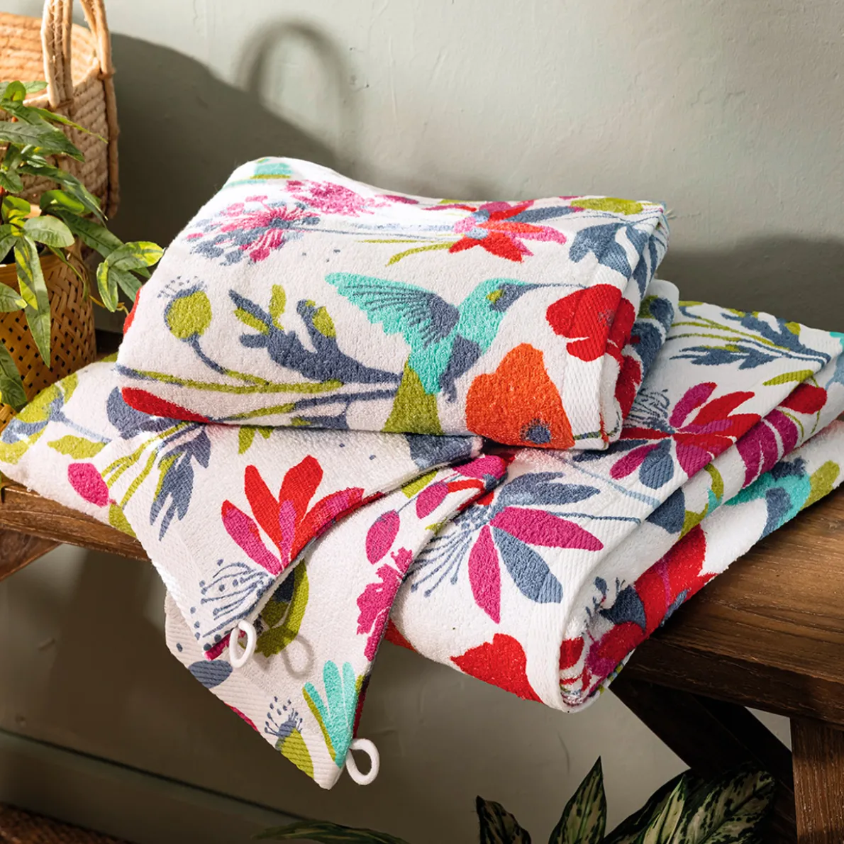 Le jardin du colibri Lot éponge