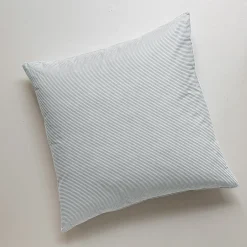 Plumes de douceur Oreiller