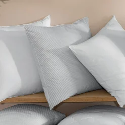 Plumes de douceur Oreiller