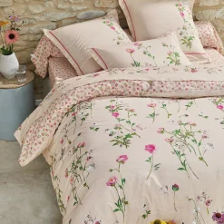 Renoncules Drap